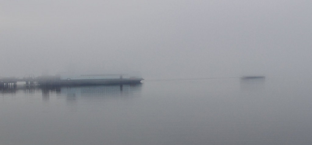 fogferry1