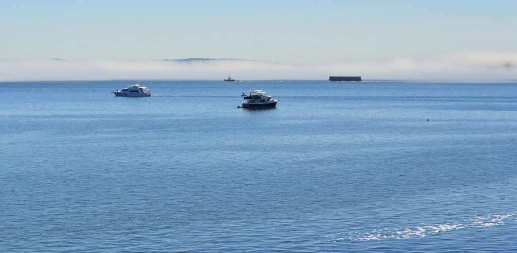 july25fogboats1