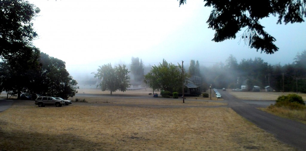 fog_wordenaug6