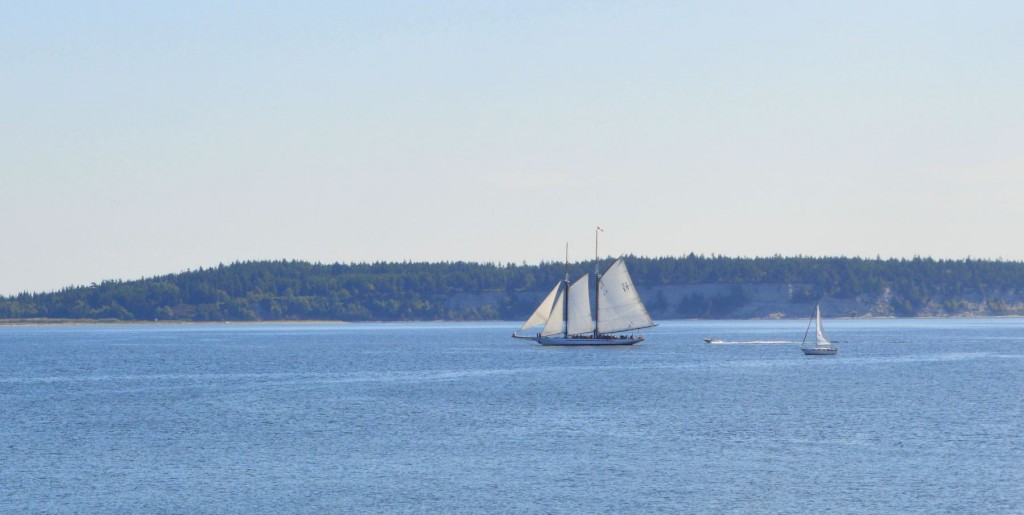 'The Adventuress' under sail