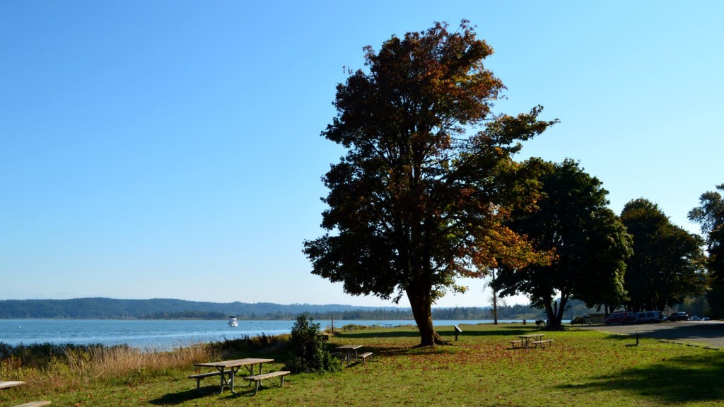 Saturday afternoon drive up Hood Canal