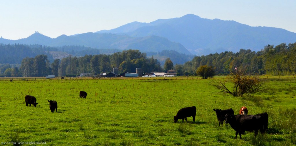 Skokomish River valley