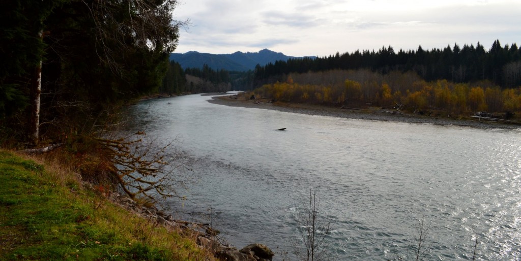 Hoh River