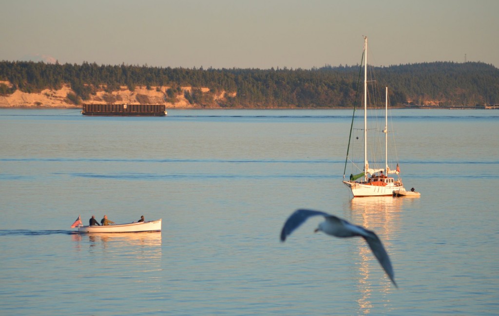 photobombgull